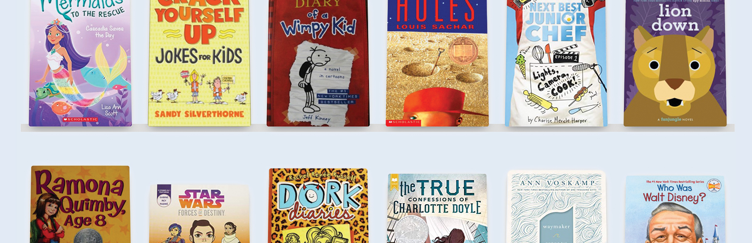 Classroom Library
