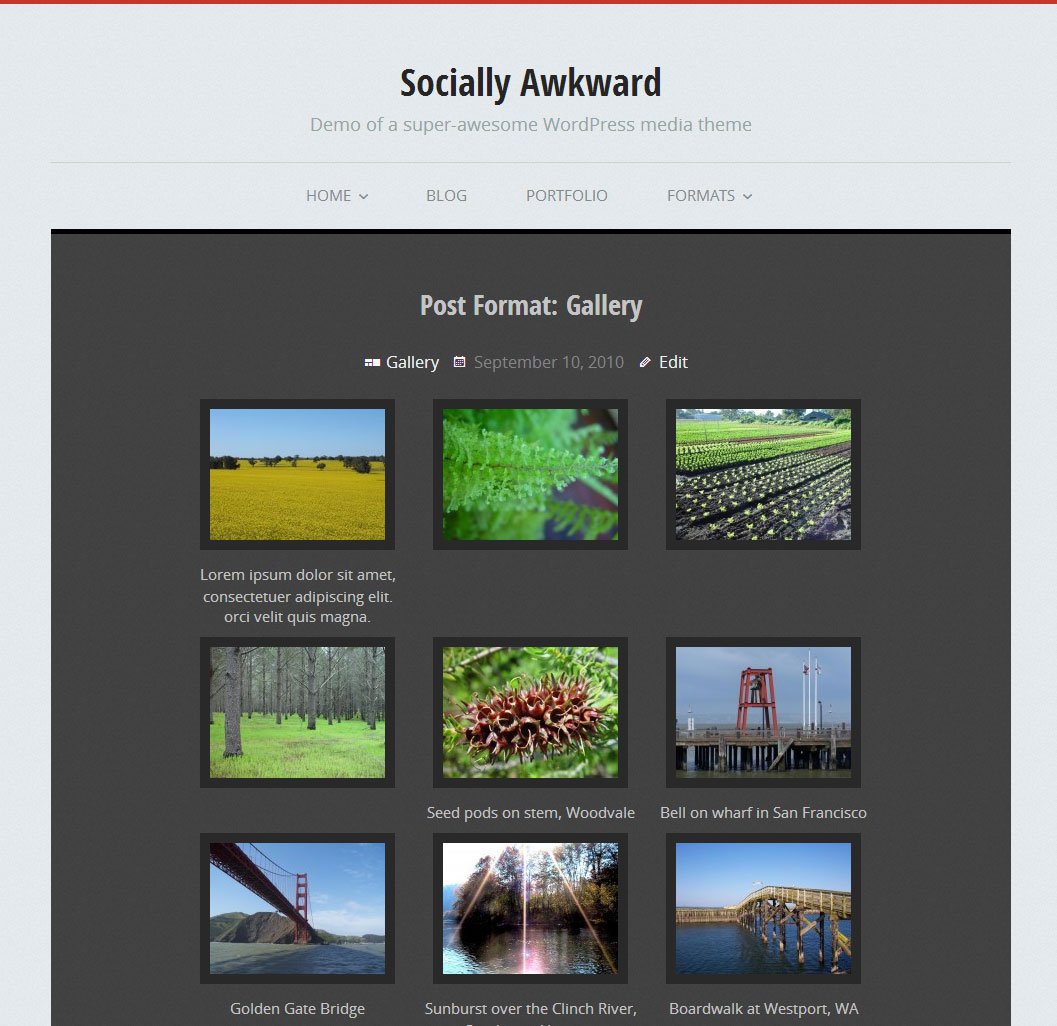 Gallery from the Socially Awkward theme.