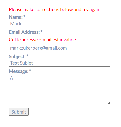 Example - BWS Form denying invalid email addresses with a custom error message.