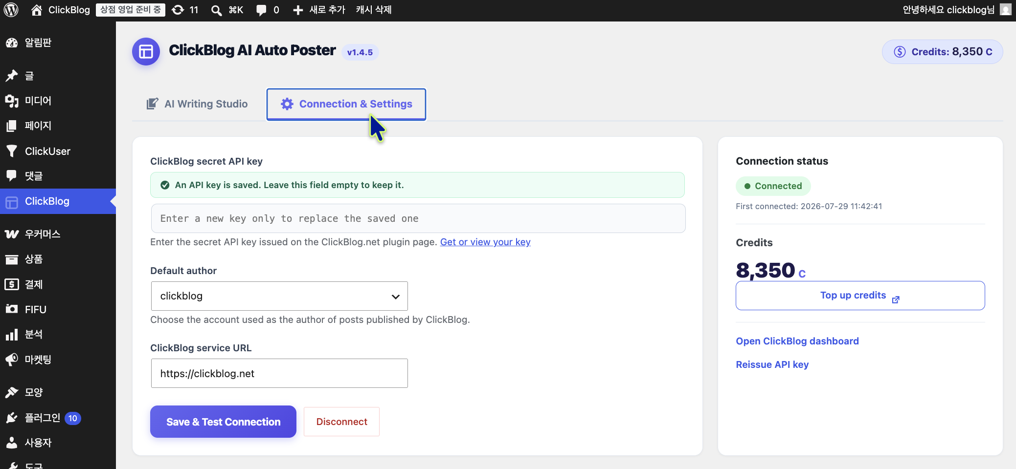 Connection settings — save your API key and check your credit balance.