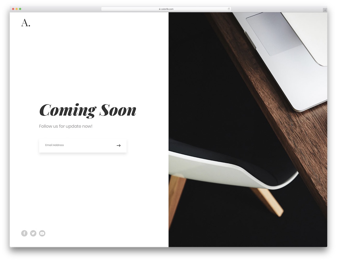 Template 12 — Clean split layout with subscribe form and social media icons