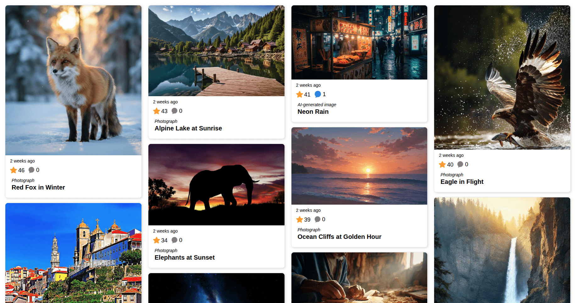 Live photo contest gallery with entries, votes, comments and descriptive titles