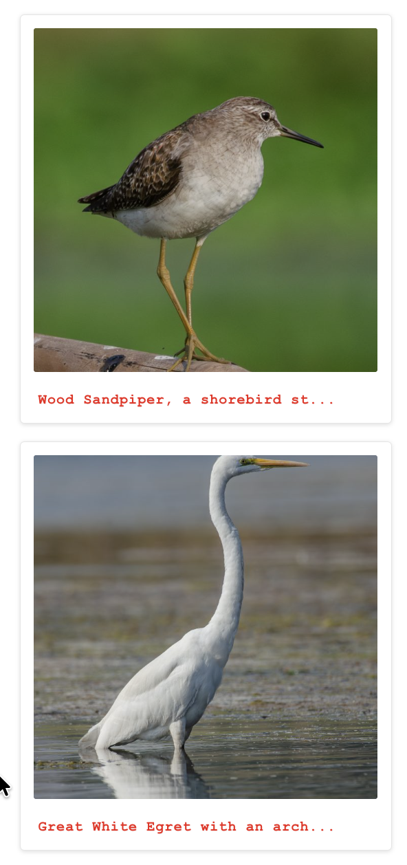 Sidebar widget display with a single-column gallery