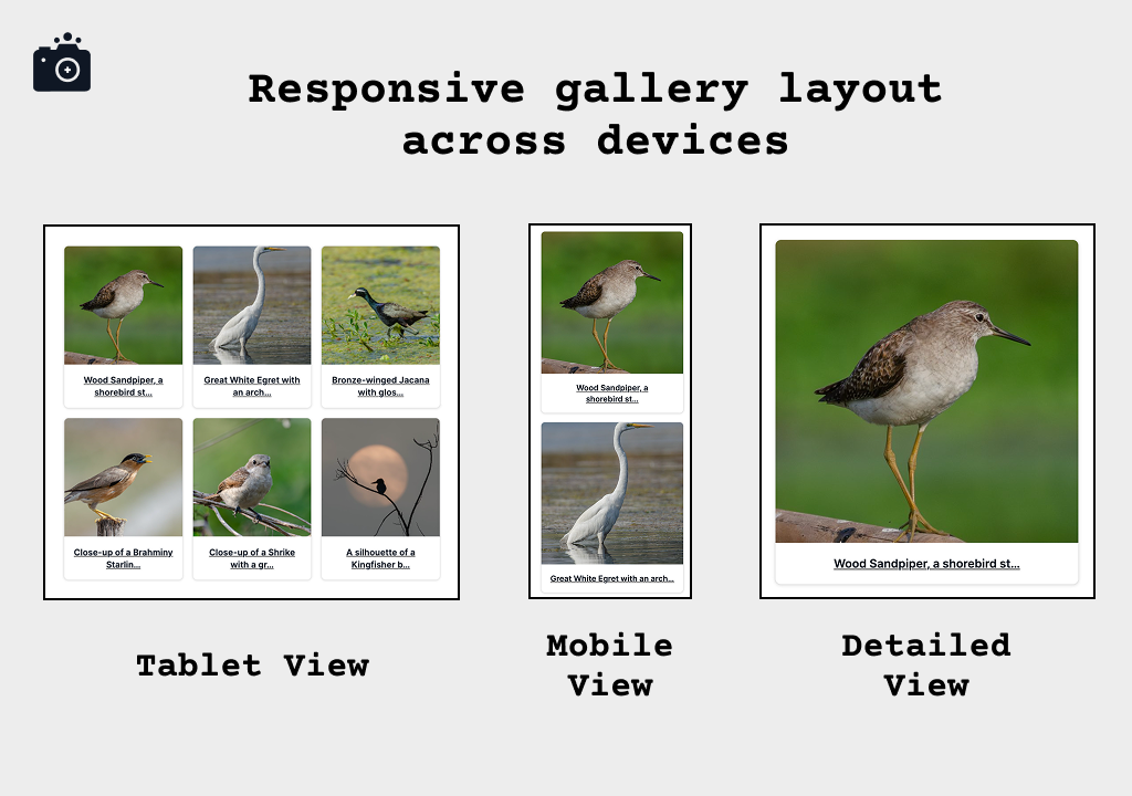 Responsive gallery layout across devices