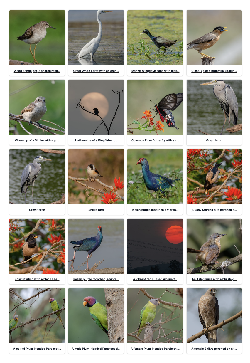 Portfolio showcase using [cp_gallery per_page="20" columns="4"]