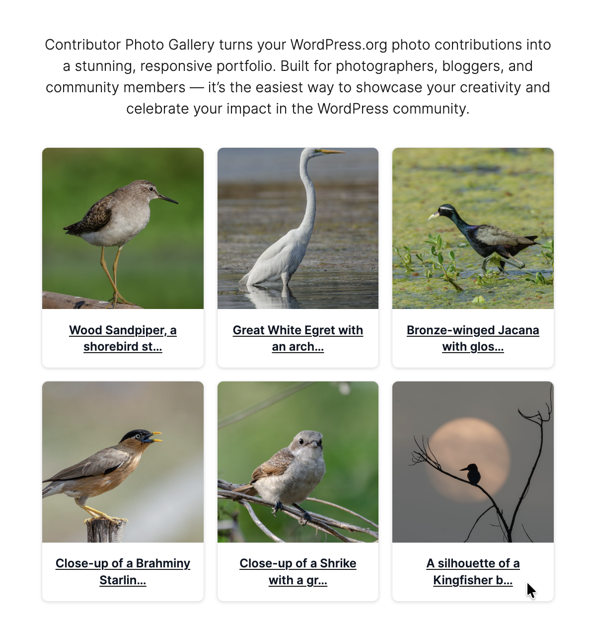 About page with contributor photos in a 3-column grid