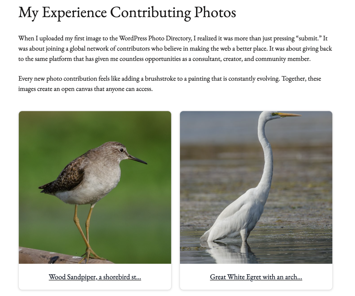 Blog post enhanced with a compact gallery