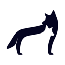 Coywolf Video Manager