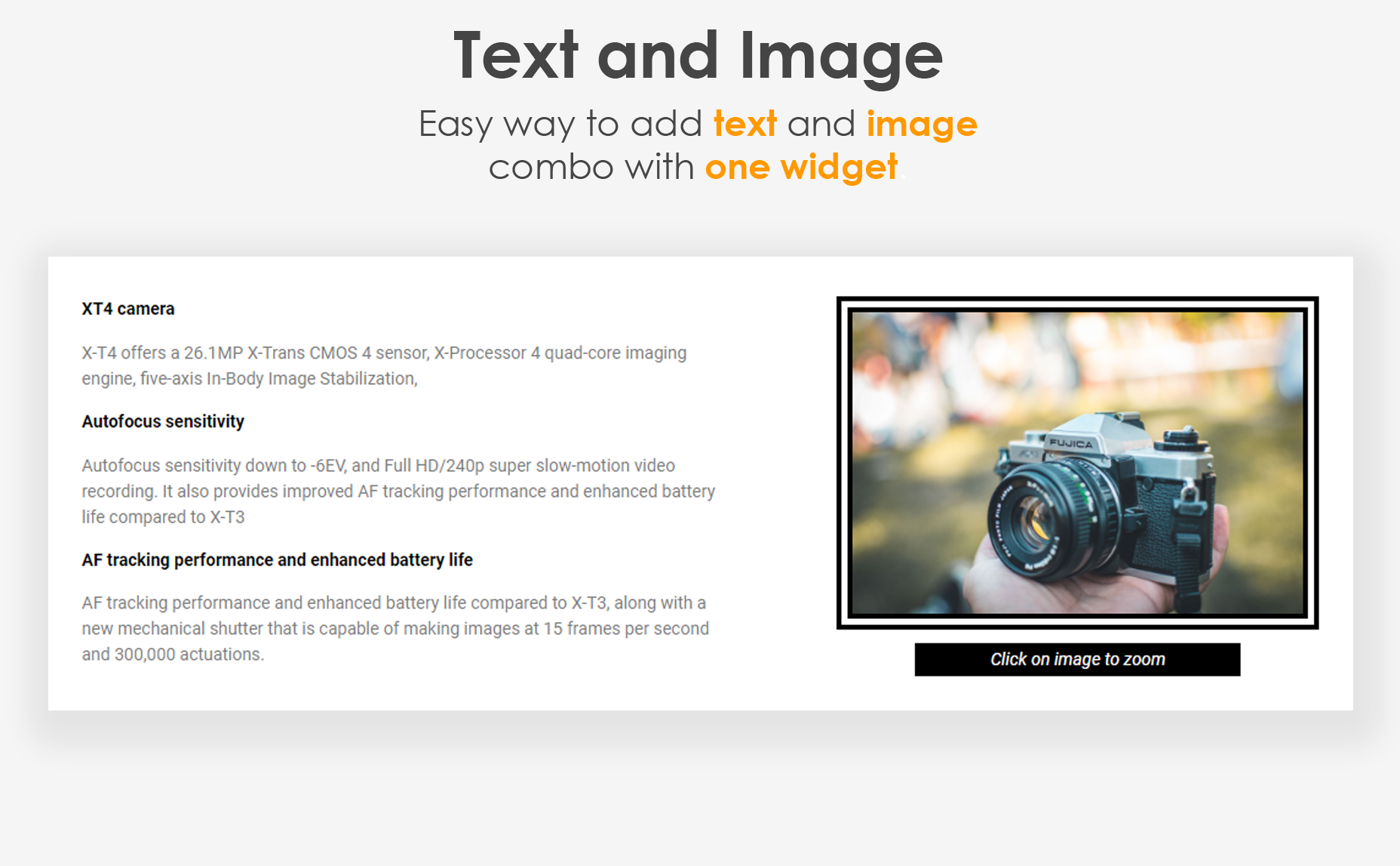 <p>Text and Image widget example</p>