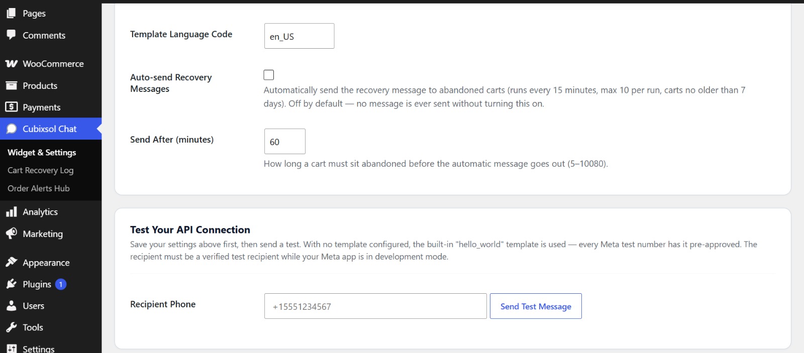 API & Tracking continued - optional automatic recovery sending and a built-in test message tool.
