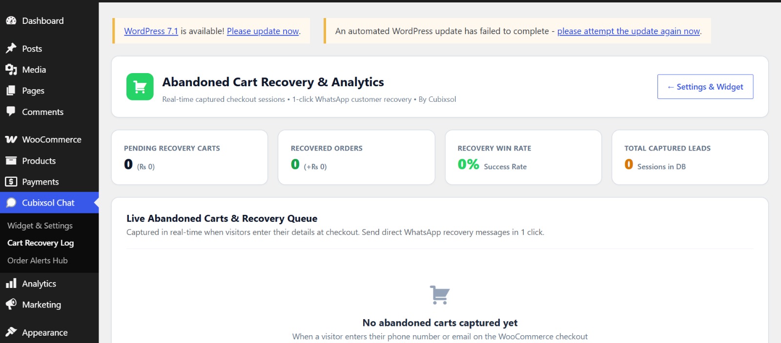Cart Recovery Log - captured checkout sessions with pending, recovered, win rate and total lead analytics.
