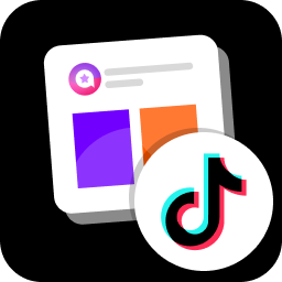 Custom Feed for TikTok &#8211; Social Post Feed Plugin for TikTok