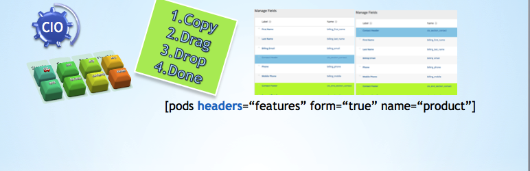 CIO Custom Field Groups for PODS