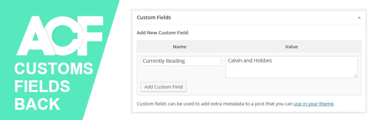 Custom Fields Missing When ACF is Active