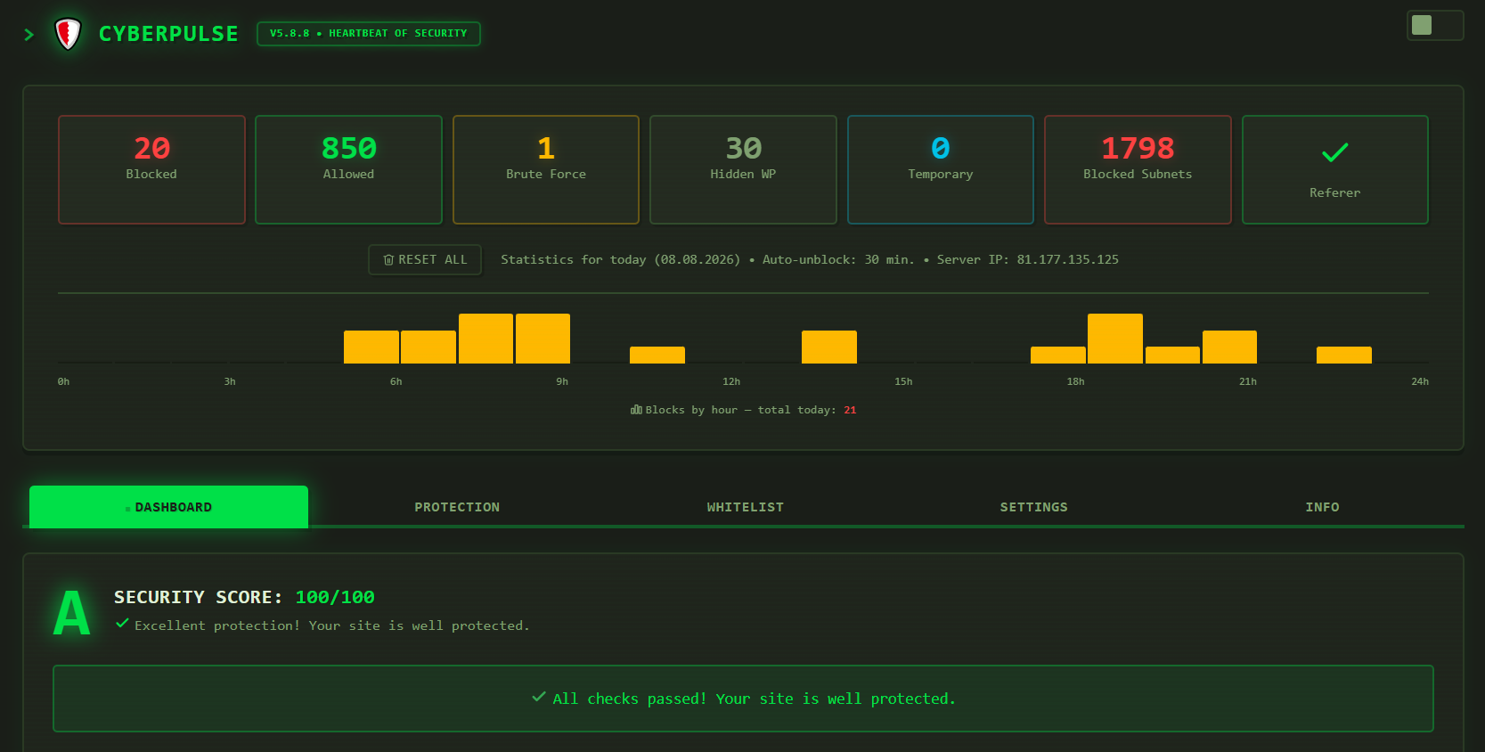 Main dashboard with real-time statistics and hourly histogram