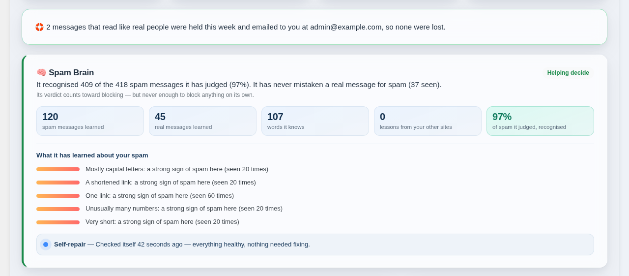The Spam Brain's track record in plain English, what it has learned about your spam, and the self-repair.
