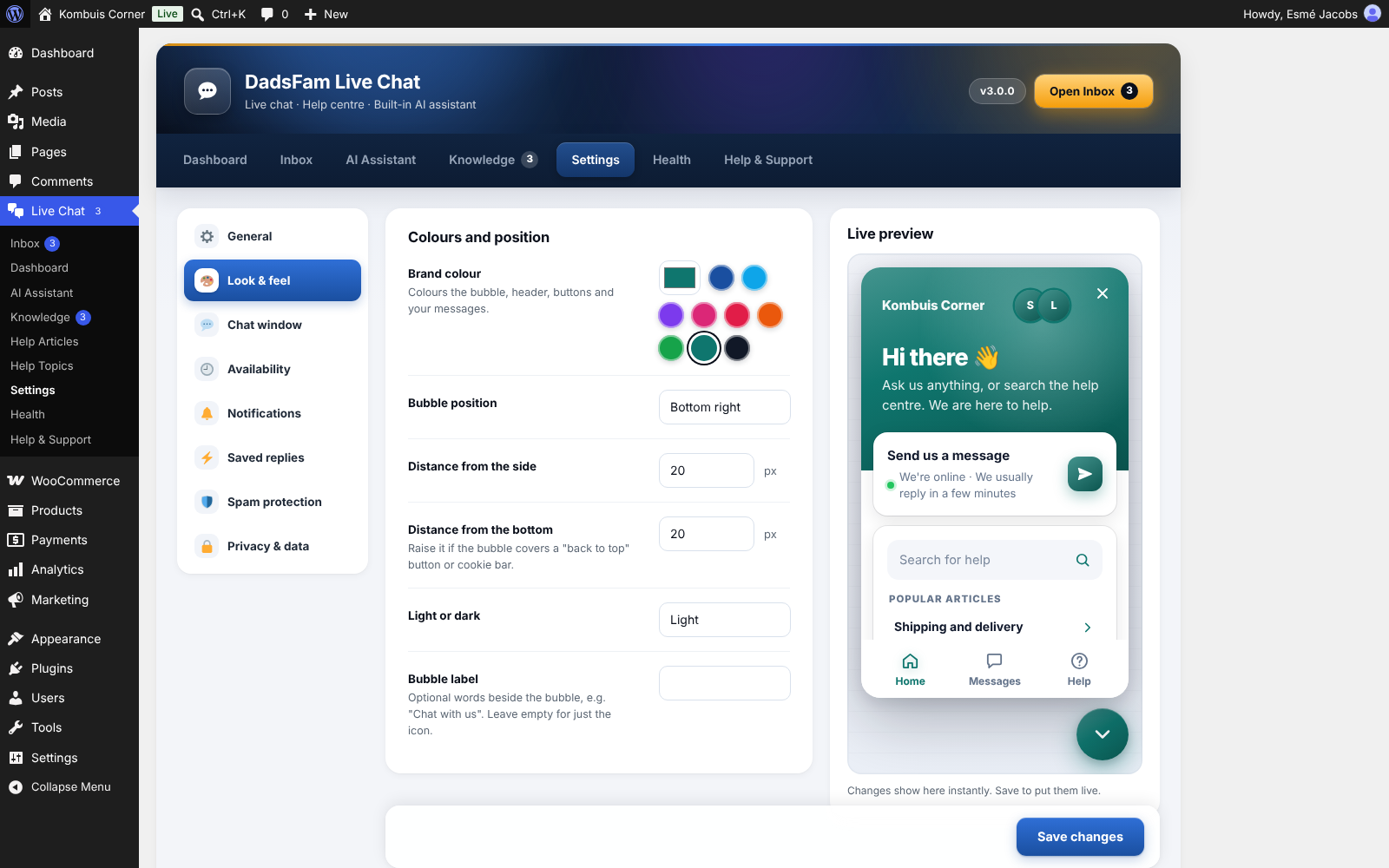 Settings, with a live preview of the chat window.
