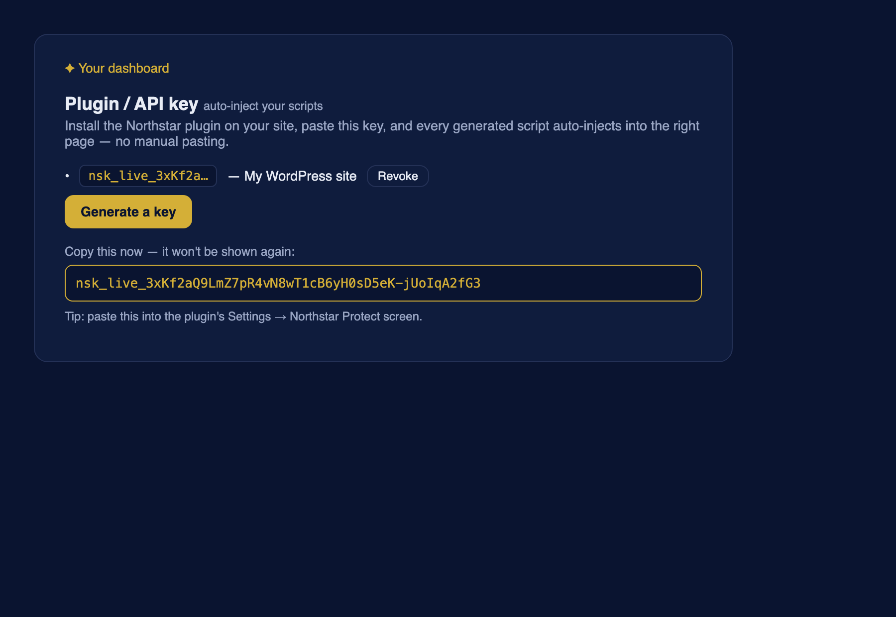 Your Northstar dashboard, where you generate the API key (Plugin / API key panel).