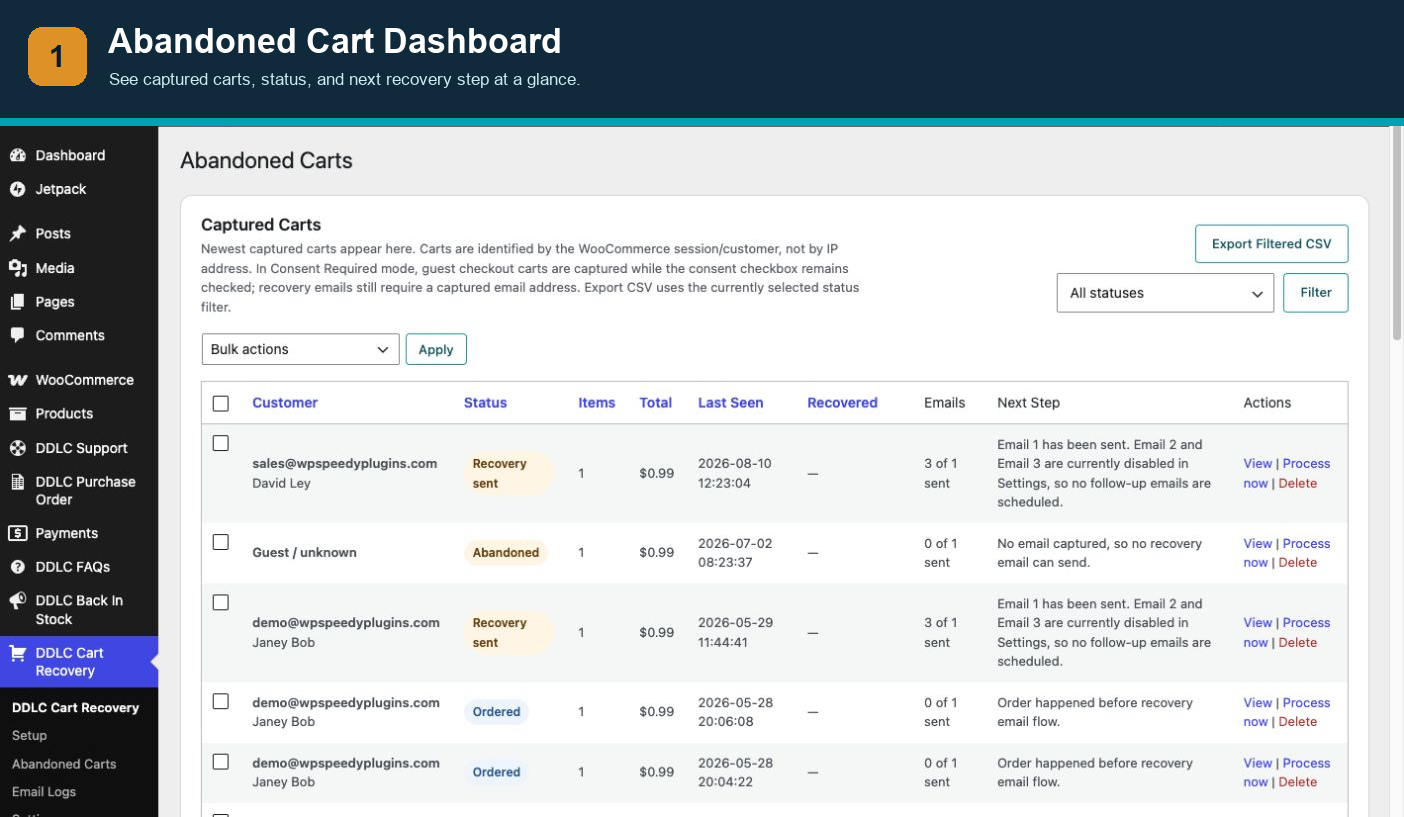 Abandoned Cart Dashboard — See captured carts, status, and the next recovery step at a glance.