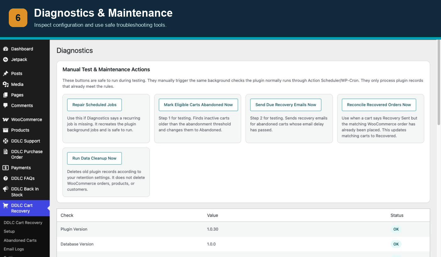 Diagnostics & Maintenance — Inspect configuration and use safe troubleshooting tools.