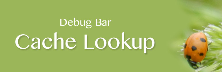 Debug Bar Cache Lookup