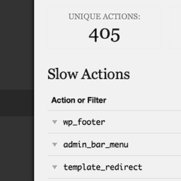 Debug Bar Slow Actions