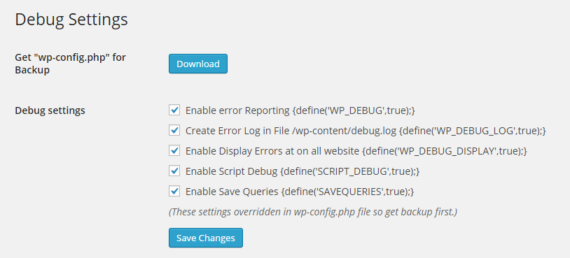 <strong>Debug Configuration Setting</strong>: Admin can configure their Debug setting.