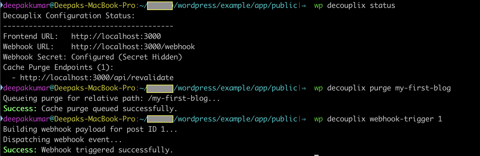 Custom WP-CLI wp decouplix command suite for advanced administration.