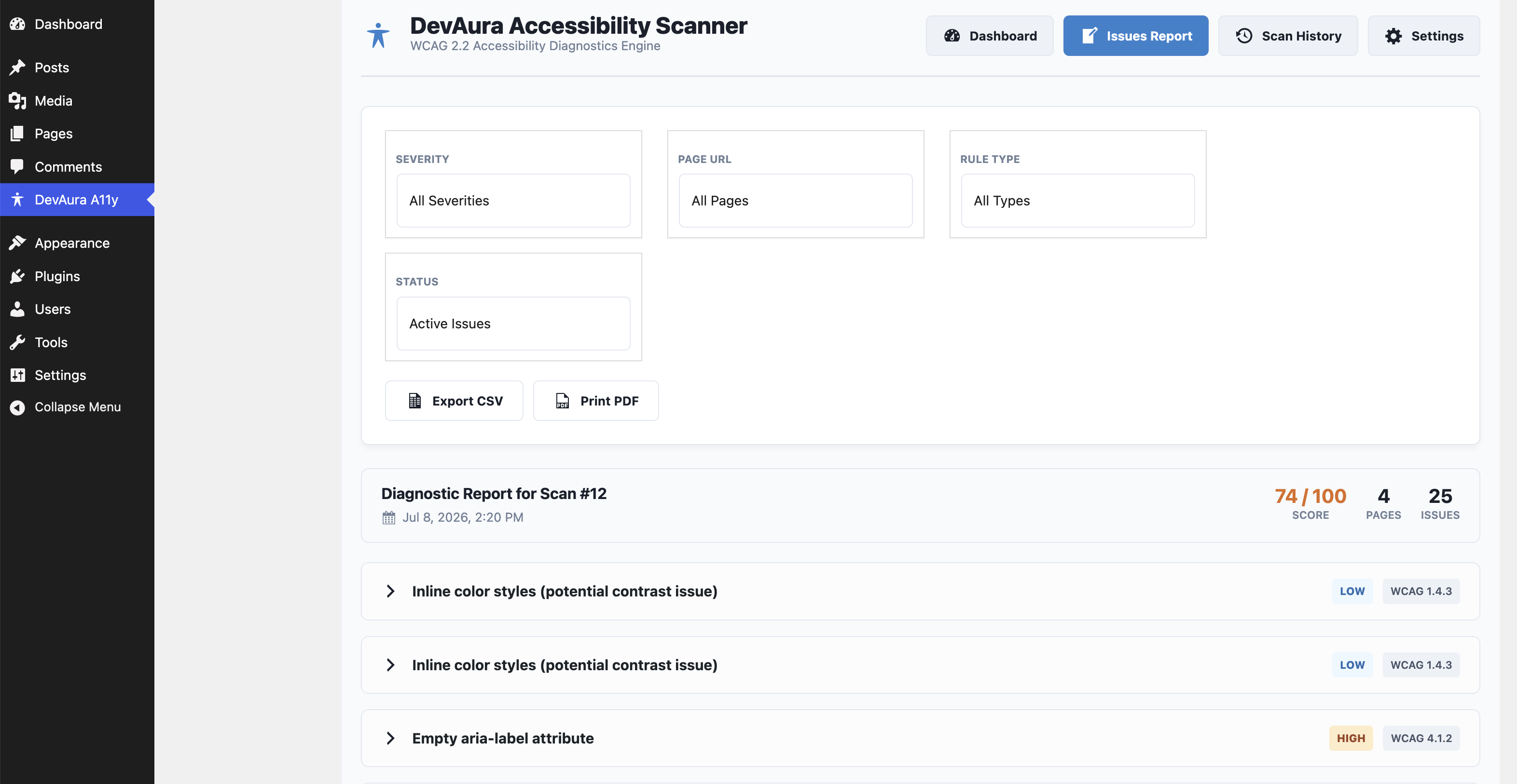 Detailed diagnostics report page highlighting accessibility issues, severity levels, and code snippets.