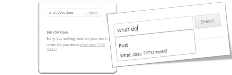 Did You Mean
