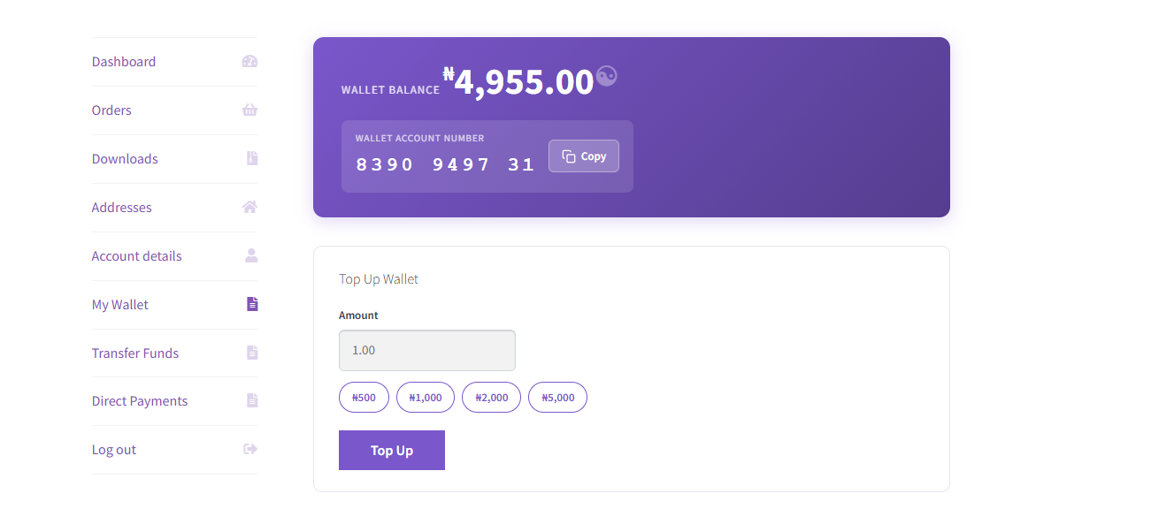 Customer wallet balance, account number, top-up form, and transaction history.