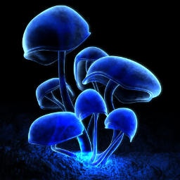 Digital Blasphemy Widget Icon