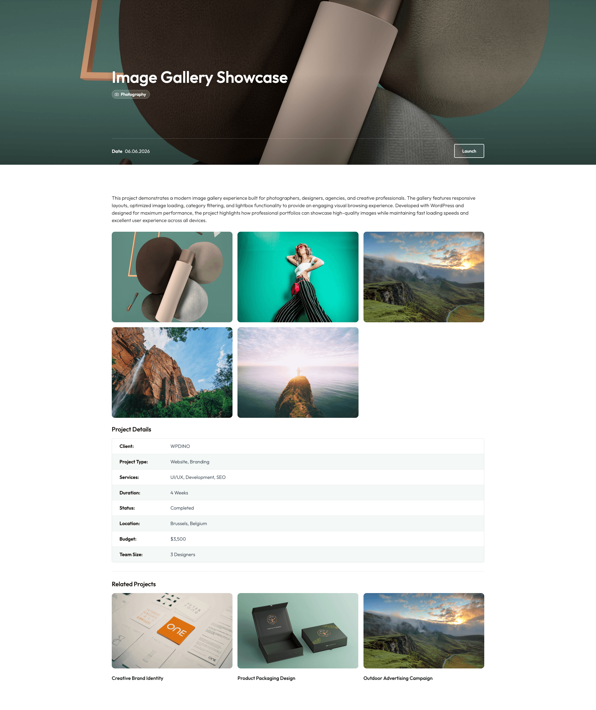 DinoFolio admin settings page