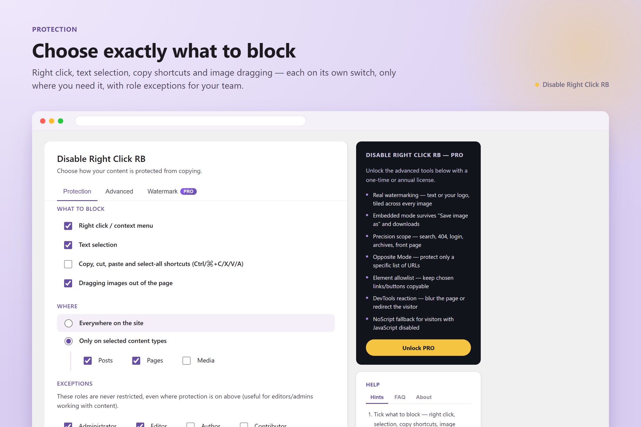 Protection tab — choose what to block (right click, text selection, copy shortcuts, image dragging), where protection applies, and which roles are exempt.