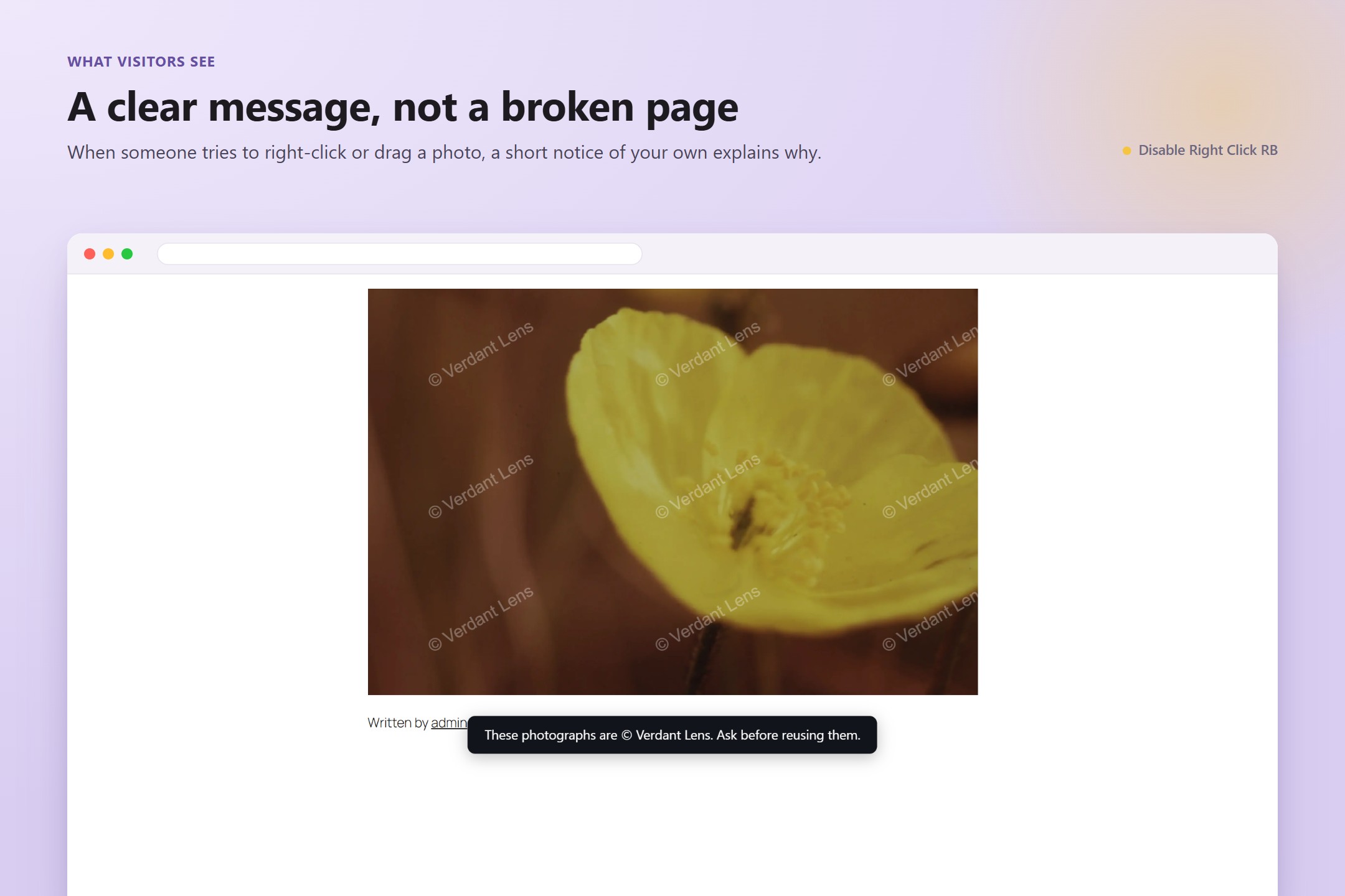 What visitors see — a short notice of your own when they try to right-click or drag a photo.