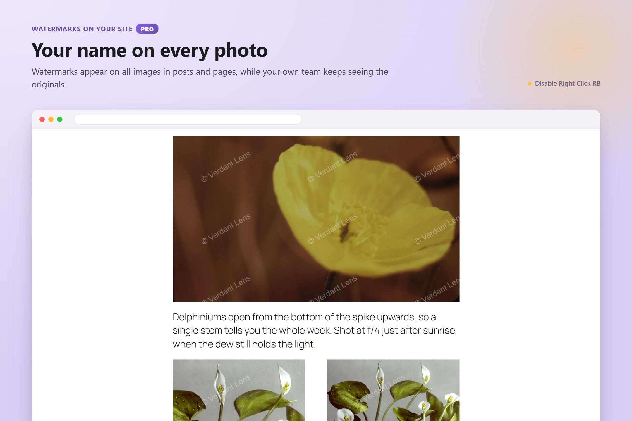 PRO — watermarked photos on the site, while exempt roles keep seeing the originals.
