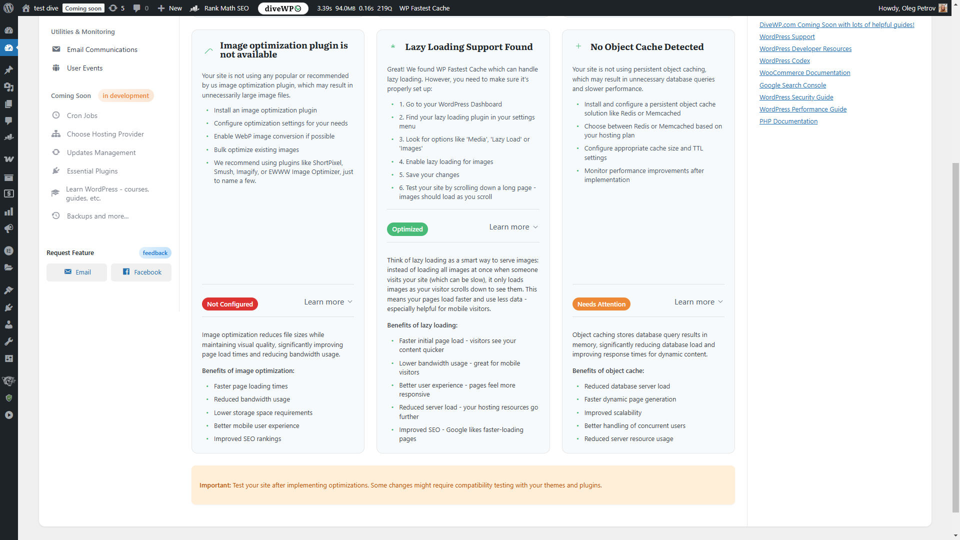 WordPress security checks.