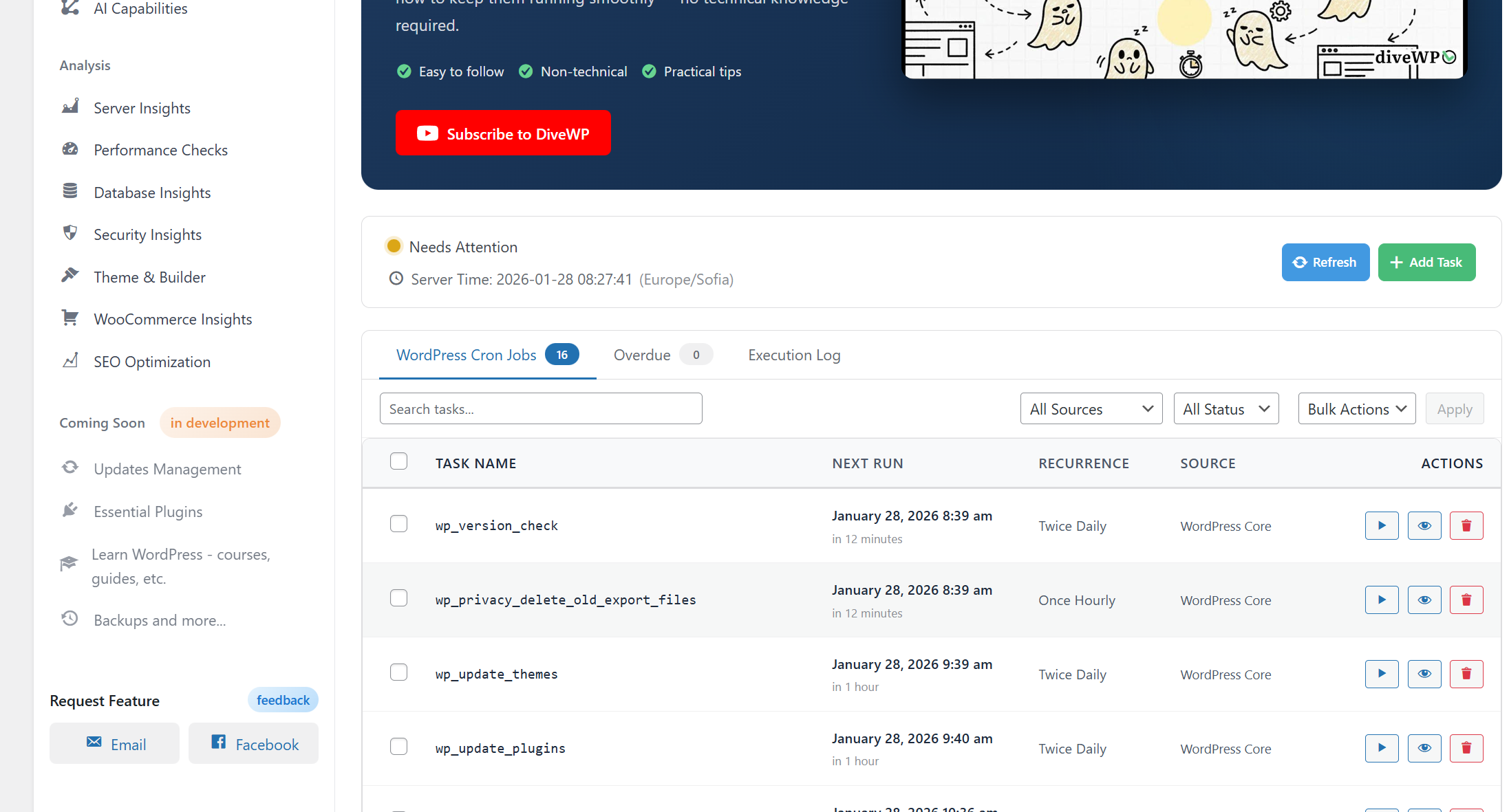 WP-Cron tasks and execution log.