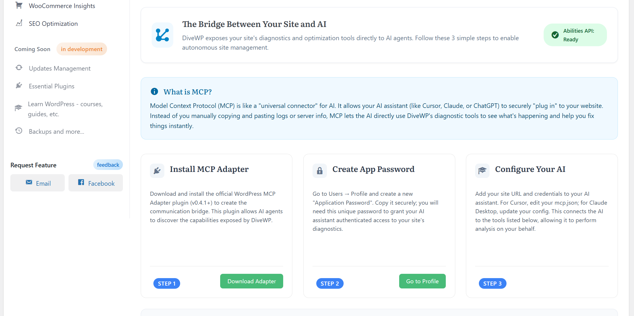 Abilities API and MCP setup.
