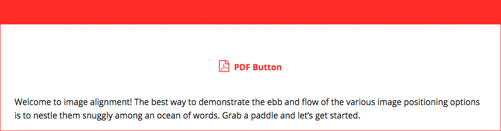 Front-end PDF Button