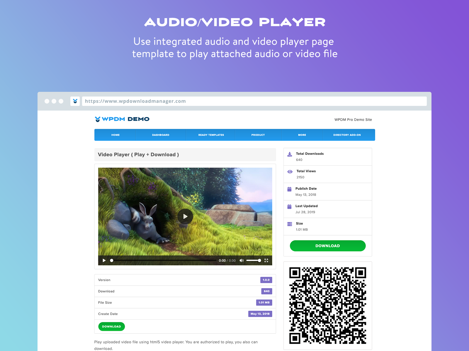 Video player