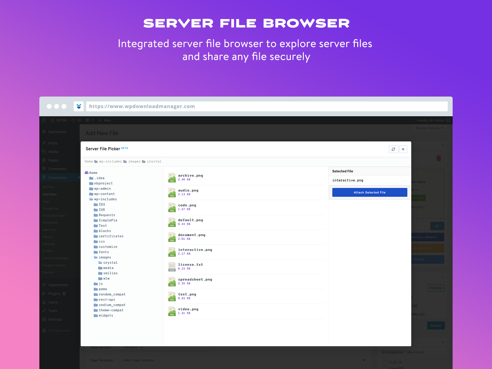 Server file browser