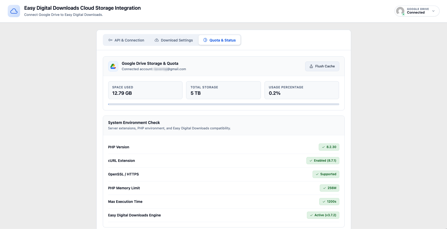 Google Drive Storage Quota metrics and system environment diagnostics.