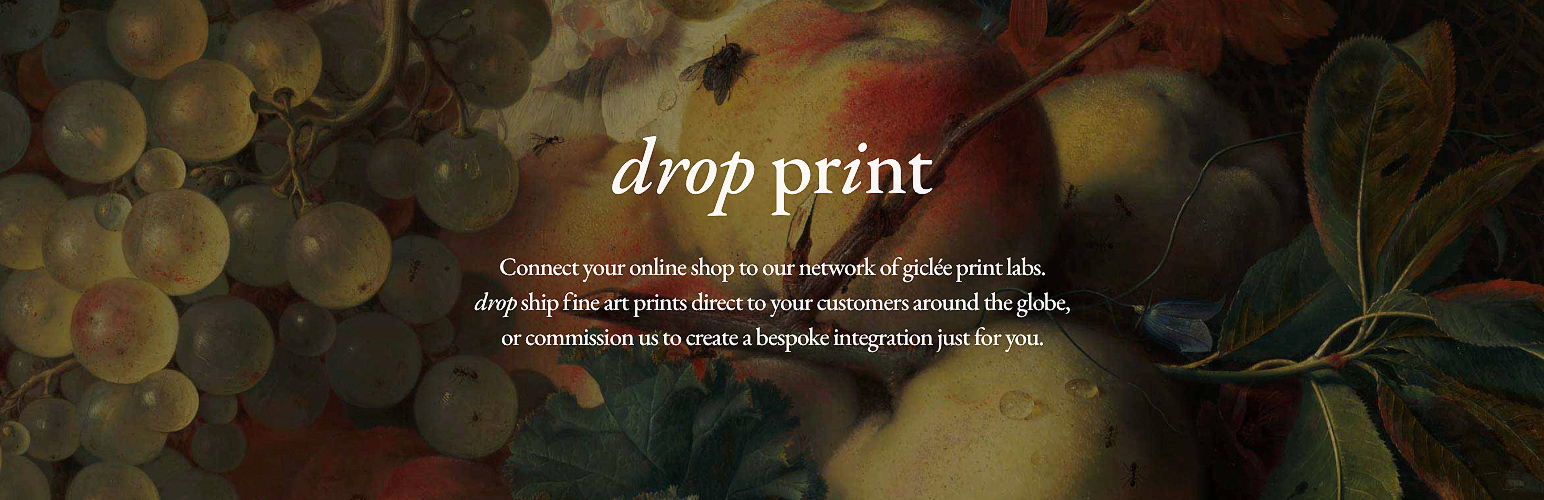 Drop Print