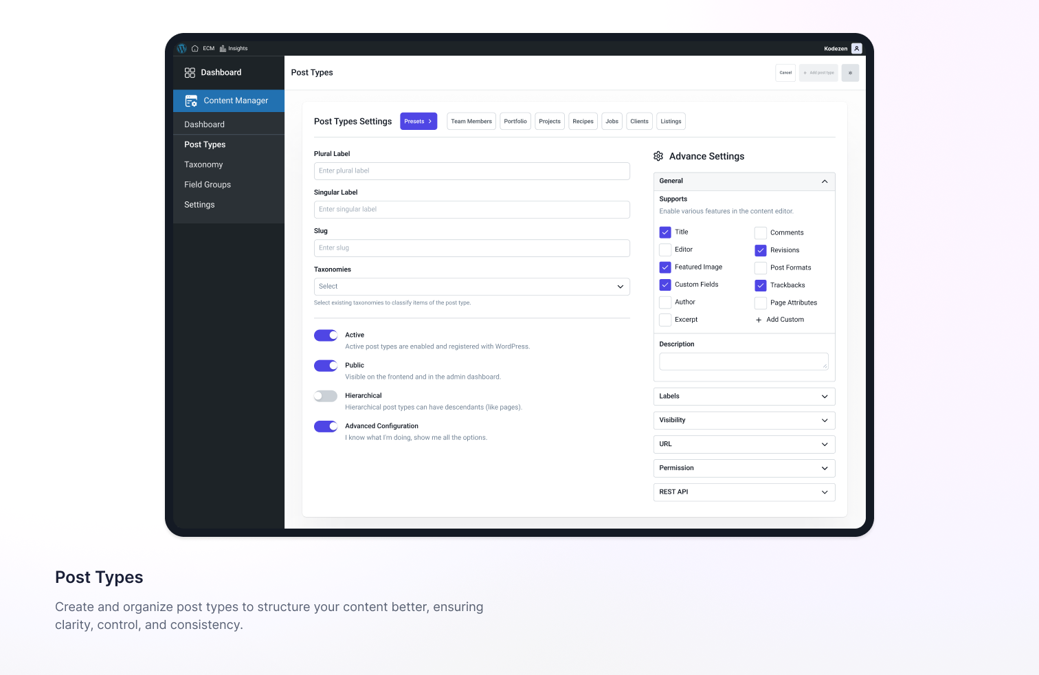 Easy Content Manager (ECM) – Powerful Custom Post types, Fields, Taxonomy &amp; Settings Builder - Screenshot 2