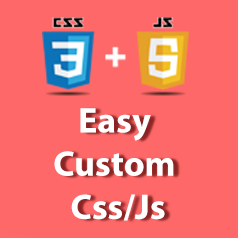 Easy Custom Css/Js Icon