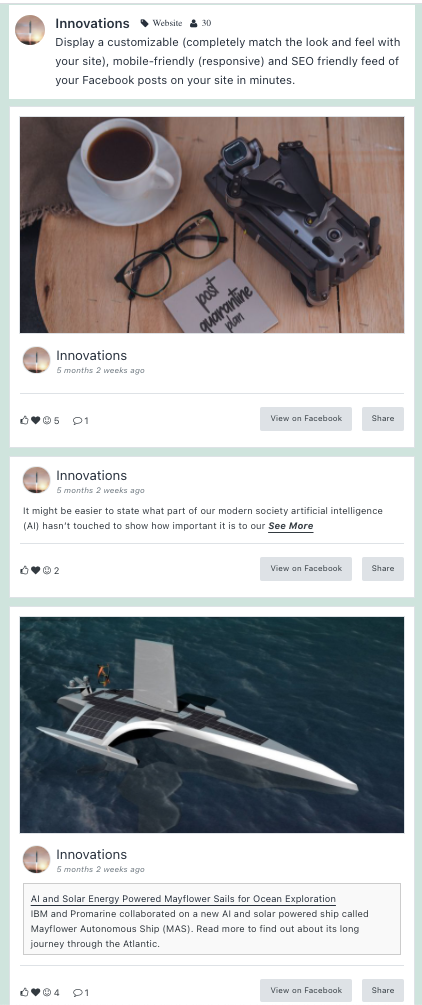 Custom Facebook Feed in Full Width layout