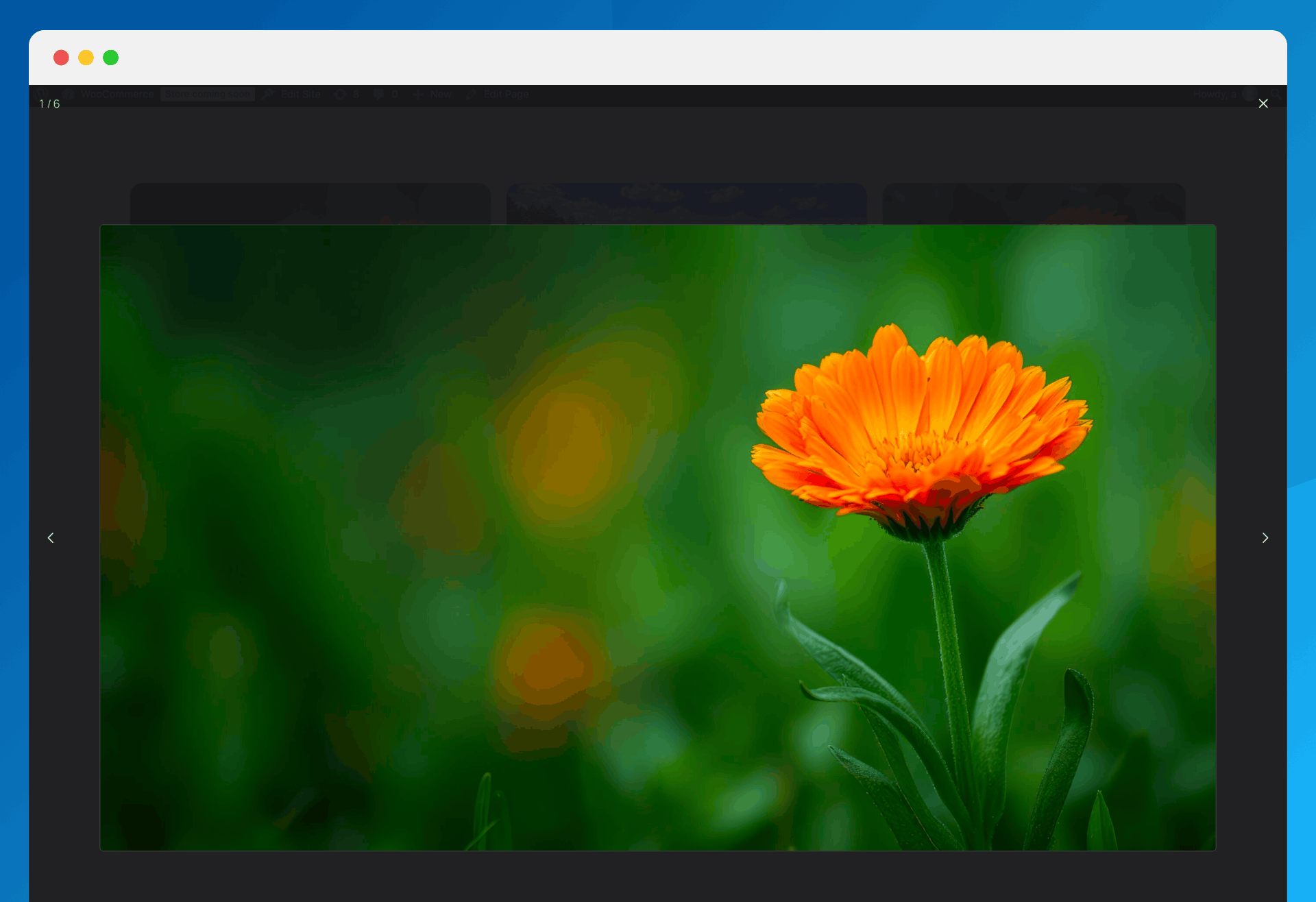 Fullscreen lightbox with navigation