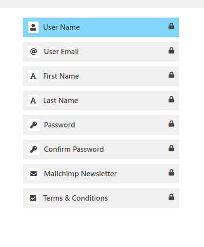 Available registration Fields