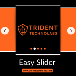 Easy Slider logo